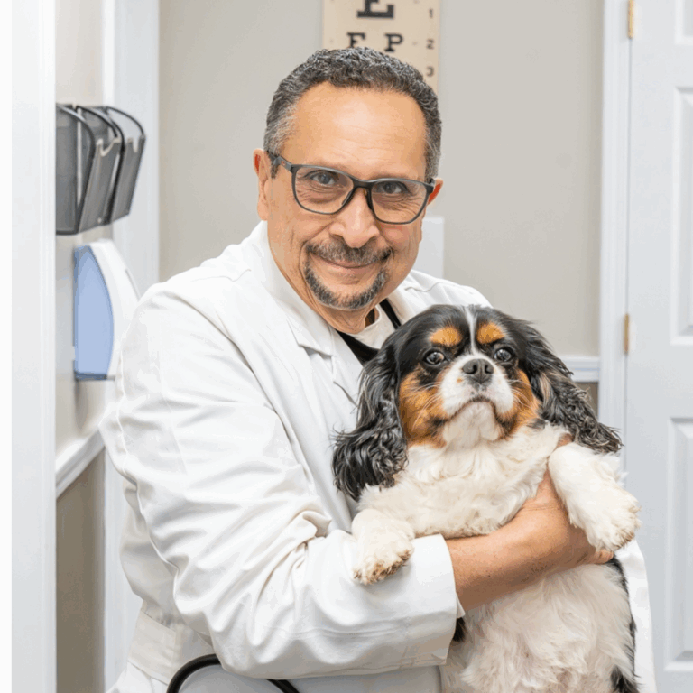Premier Health Partners | Patient-Centered Medical Care